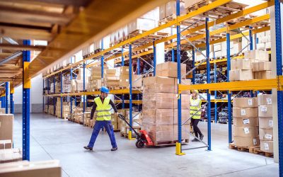 Replenishment Strategies to Optimize Your Fulfillment Warehouse